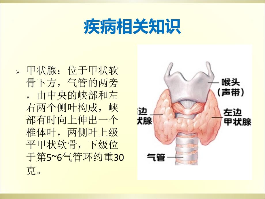 甲状腺ppt资料_第3页