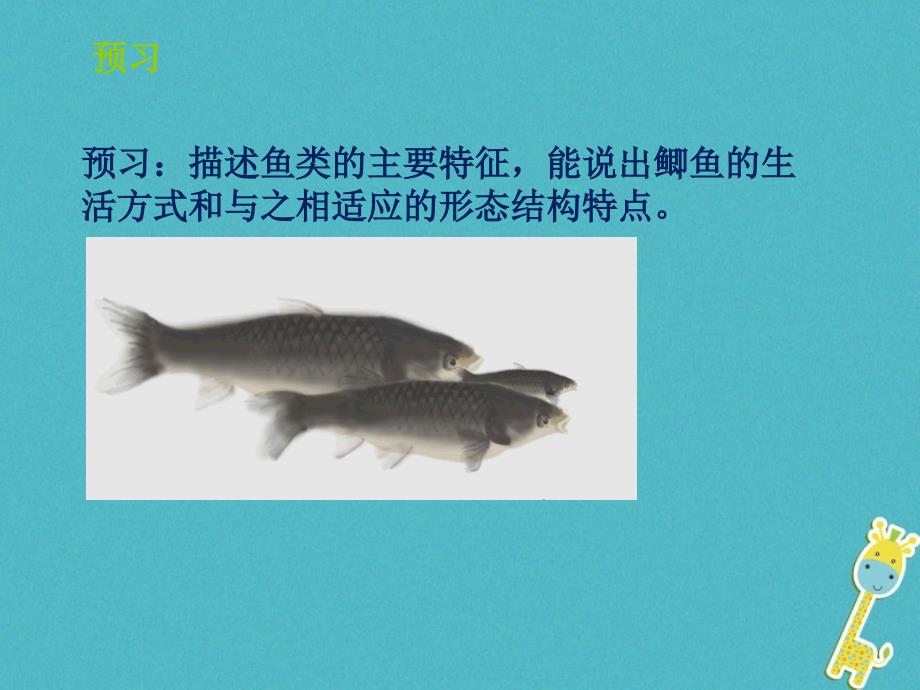 山东省惠民县七年级生物上册 2.2.2《脊椎动物的主要类群》（第1课时）（新版）济南版_第2页