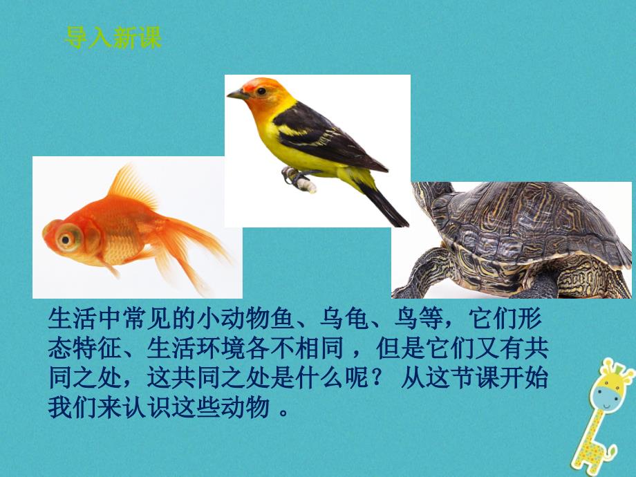 山东省惠民县七年级生物上册 2.2.2《脊椎动物的主要类群》（第1课时）（新版）济南版_第3页