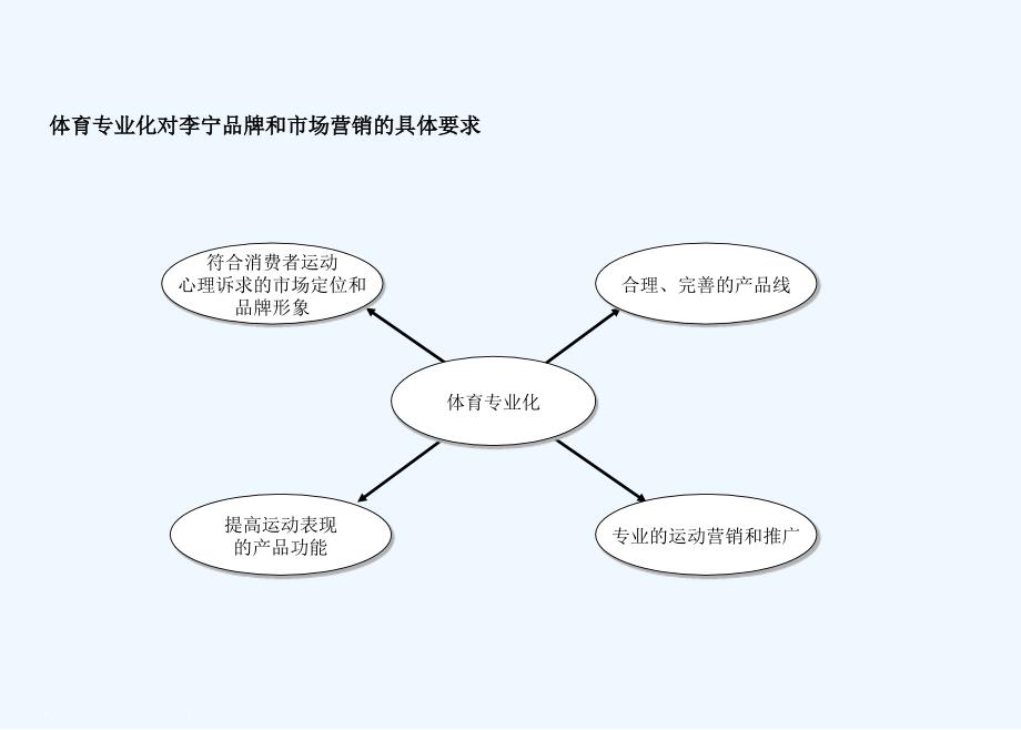 ibm李宁集团品牌与营销策略_第3页