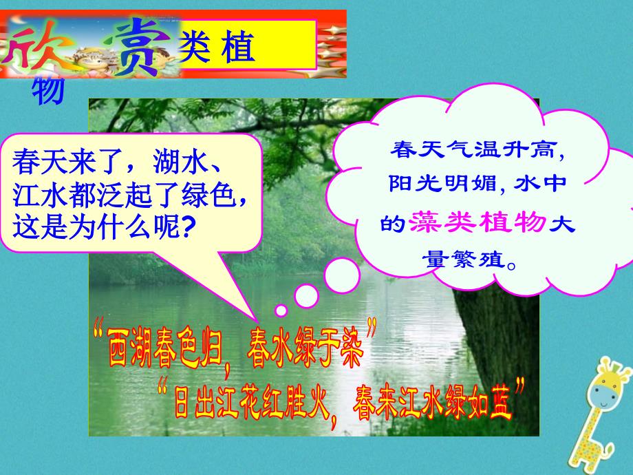 安徽省合肥市长丰县七年级生物上册 3.1.1《藻类、苔藓和蕨类植物》2 （新版）新人教版_第4页