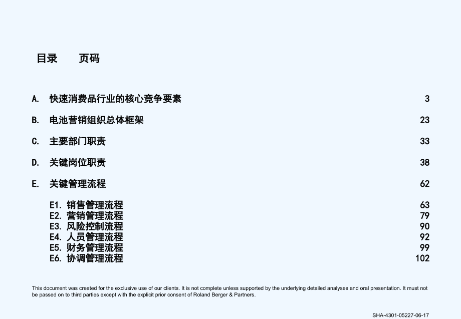 长虹电池营销组织和管理制度平台设_第2页