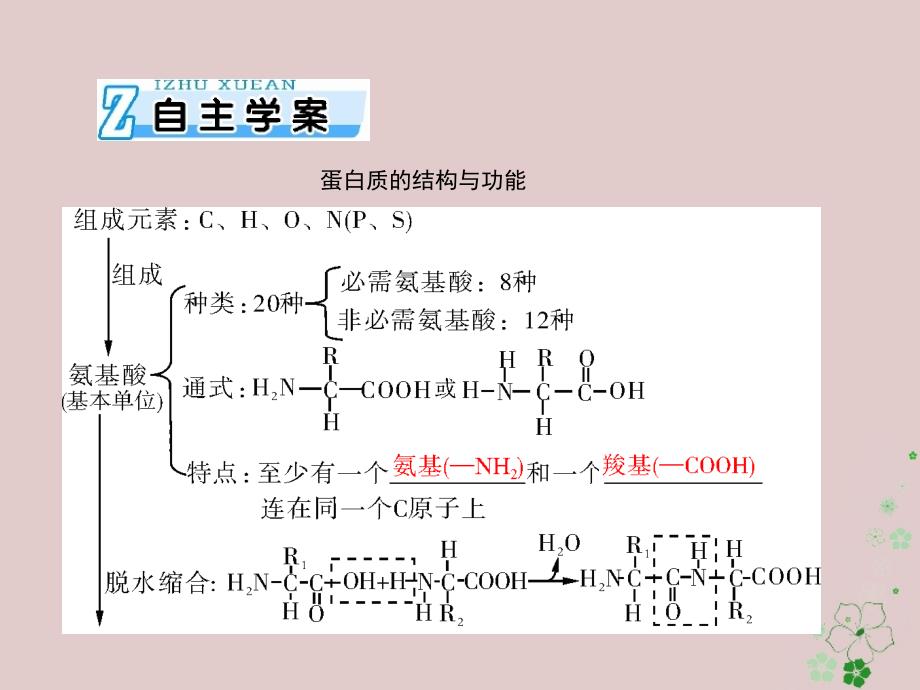 2019版高考生物一轮总复习 第2章 组成细胞的分子 第2节 生命活动的主要承担者——蛋白质必修1_第2页