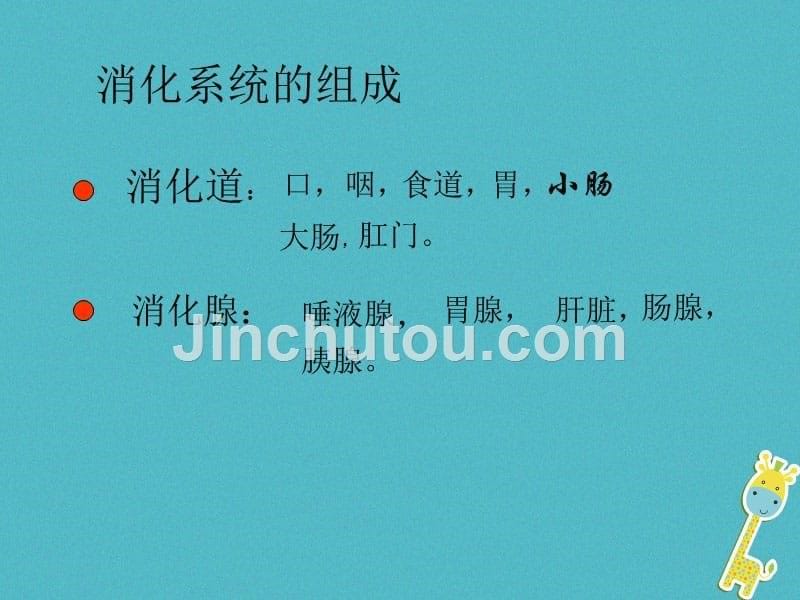 安徽省合肥市长丰县七年级生物下册 4.2.2《消化和吸收》2 （新版）新人教版_第5页