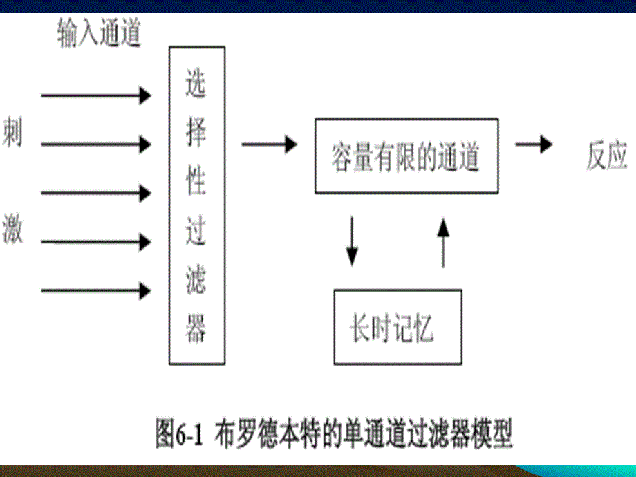 注意朱滢实验心理学_第2页