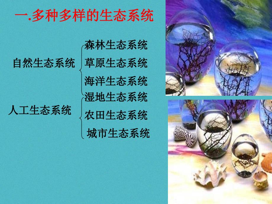 安徽省合肥市长丰县七年级生物上册 1.2.3《生物圈是最大的生态系统》4 （新版）新人教版_第3页