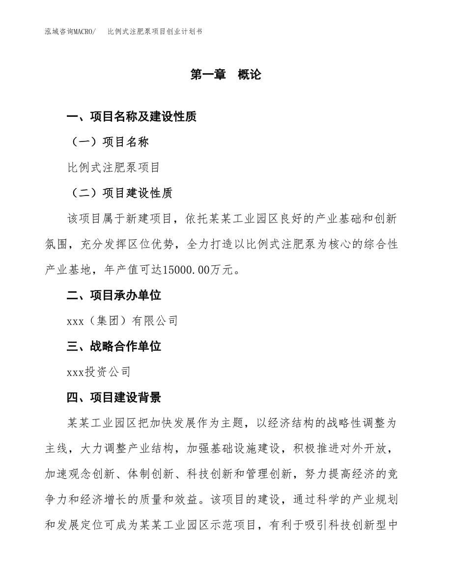 比例式注肥泵项目创业计划书.docx_第5页