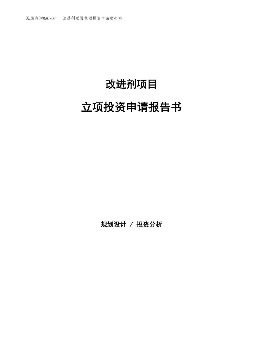 改进剂项目立项投资申请报告书.docx_第1页