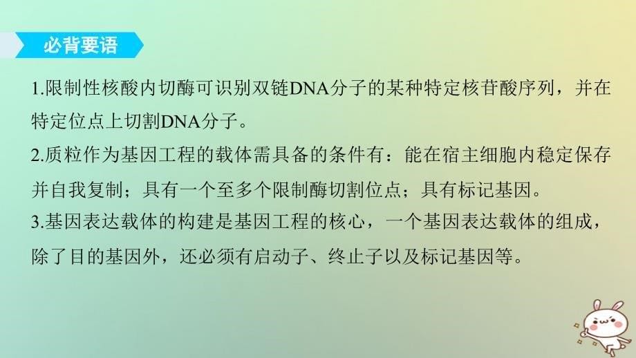 2017-2018学期高中生物 第一章 基因工程章末整合提升 苏教版选修3_第5页