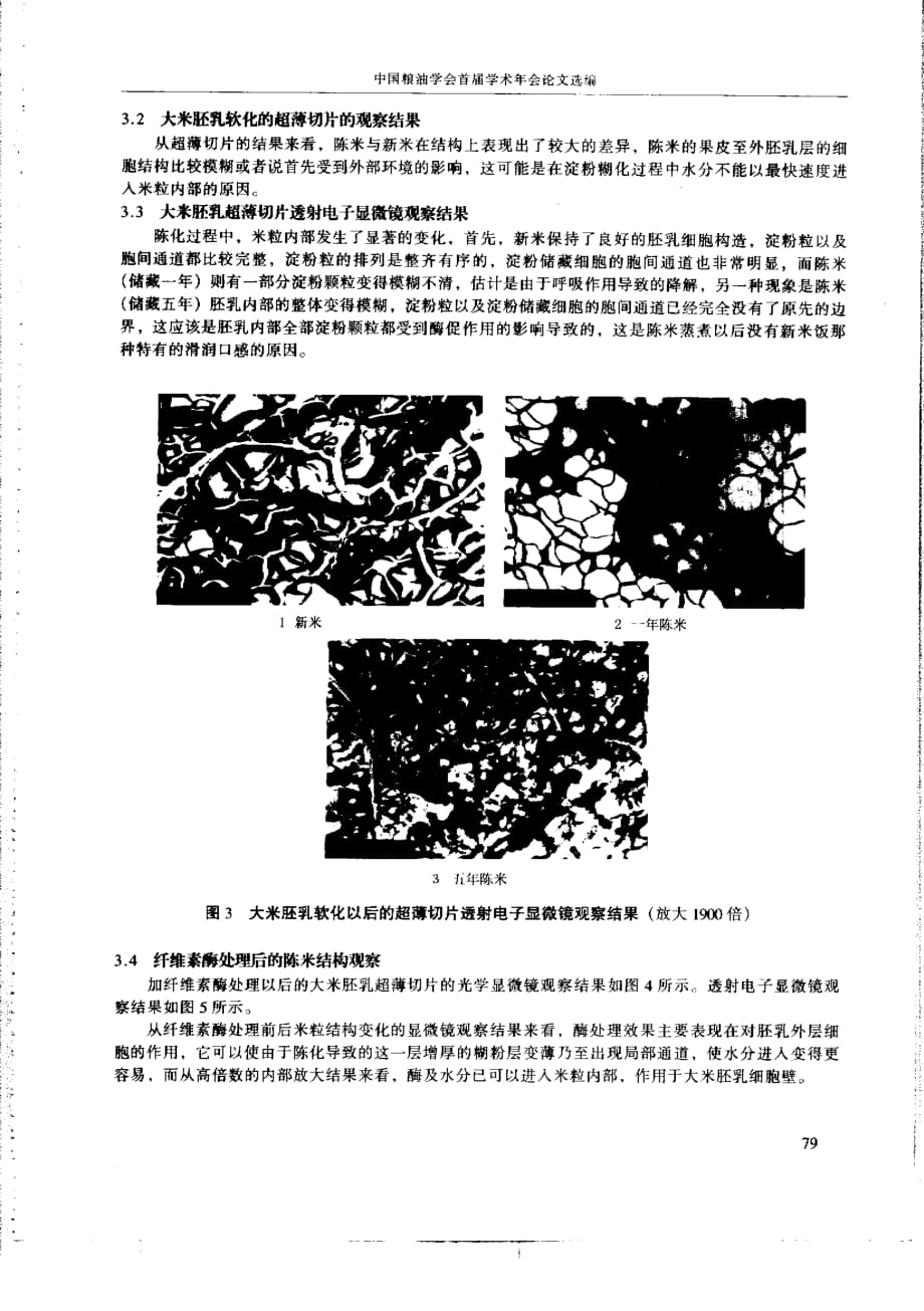 大米陈化过程中的组织学变化研究_第4页