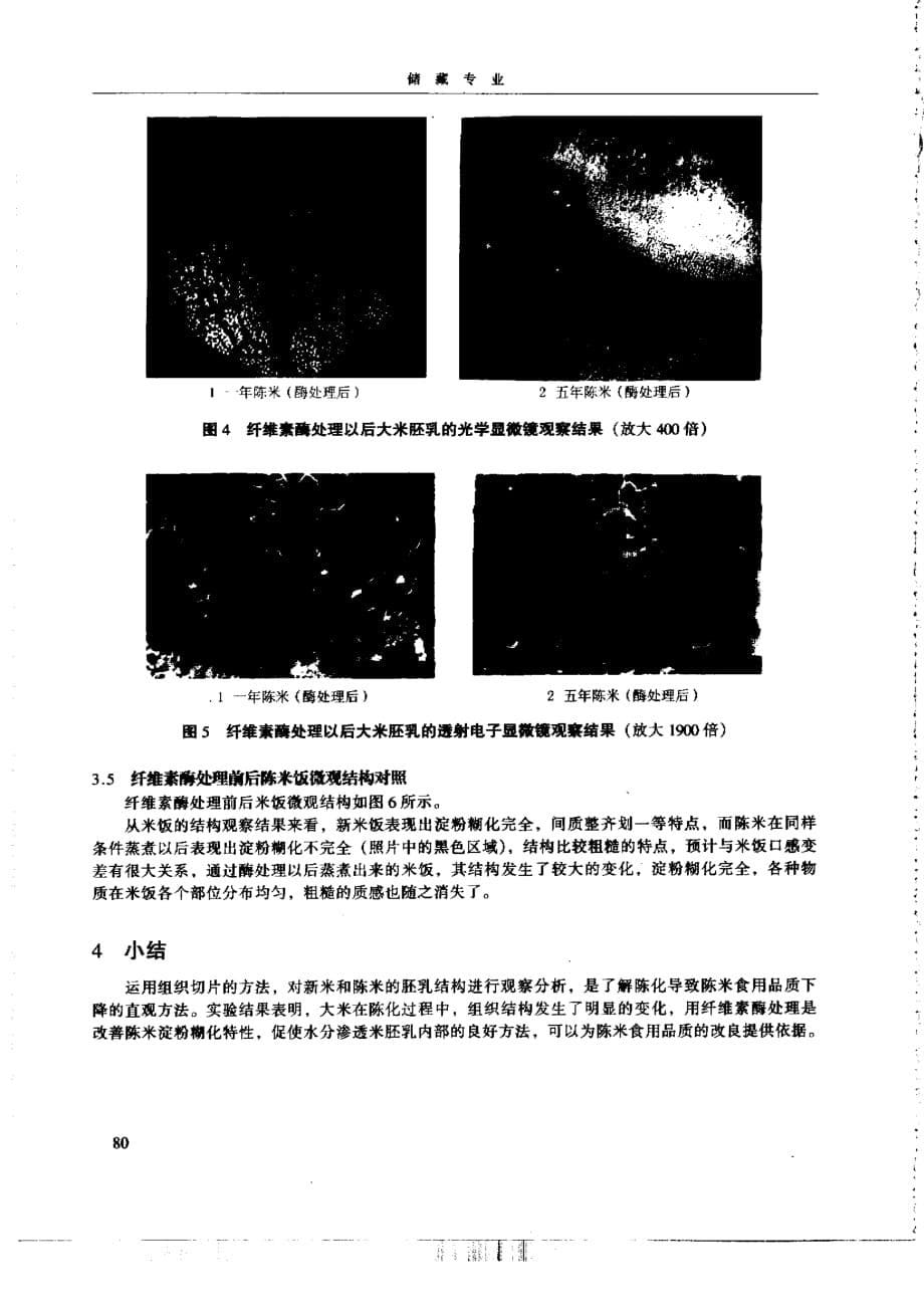 大米陈化过程中的组织学变化研究_第5页