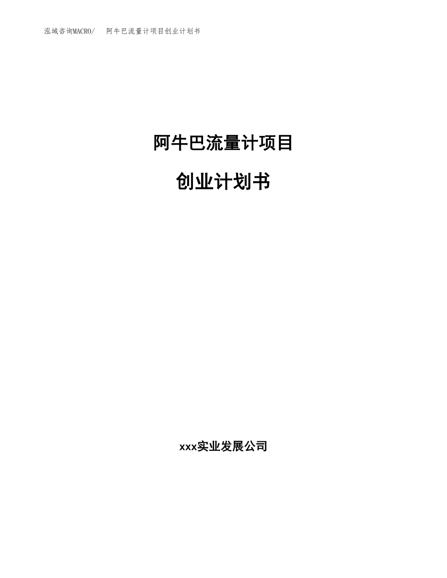 阿牛巴流量计项目创业计划书.docx_第1页