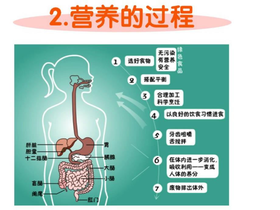 孕期营养和体重管理_第4页