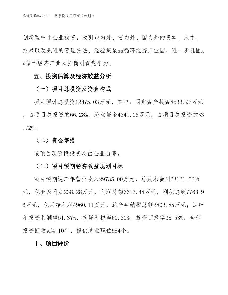 斧子投资项目商业计划书.docx_第5页