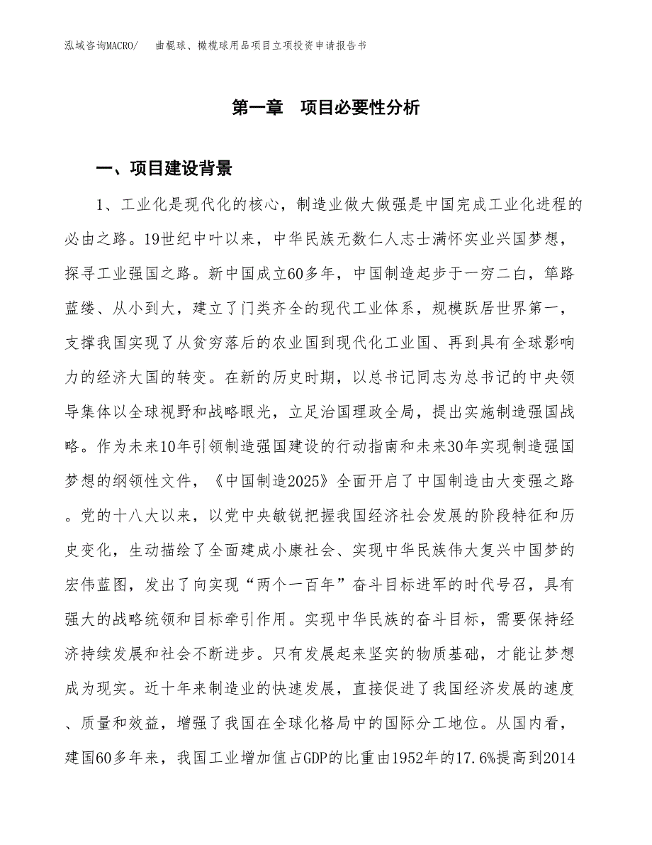 曲棍球、橄榄球用品项目立项投资申请报告书.docx_第2页