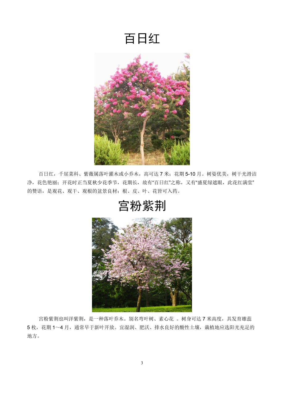 花木介绍_第3页