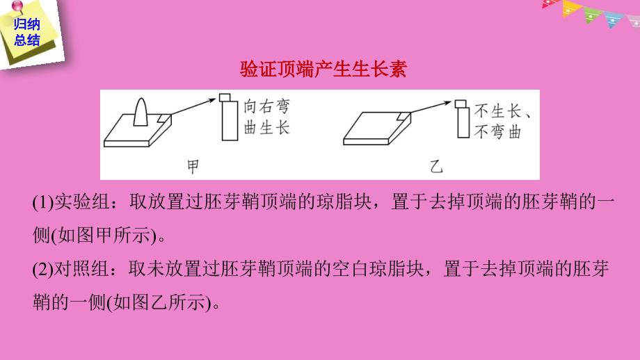 2019版生物高考大第一轮复习 热点题型十四 植物激素调节的相关实验探究 北师大版_第4页