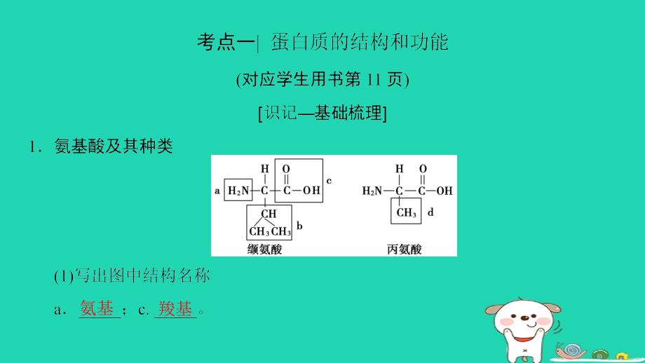 2019版全国高考生物第一轮复习 第1单元 细胞及其分子组成 第3讲 生命活动的承担者——蛋白质_第4页