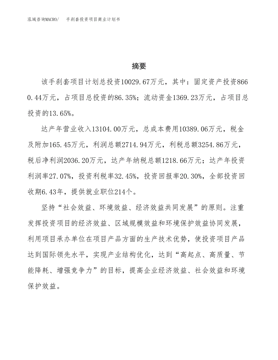 手刹套投资项目商业计划书.docx_第3页