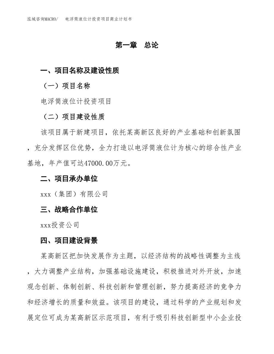 电浮筒液位计投资项目商业计划书.docx_第5页