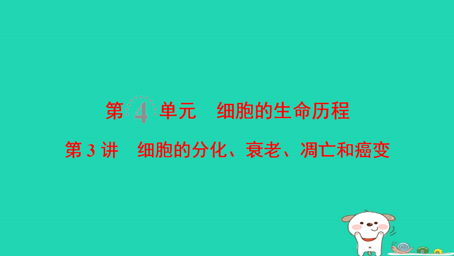 2019版全国高考生物第一轮复习 第4单元 细胞的生命历程 第3讲 细胞的分化、衰老、凋亡和癌变_第1页