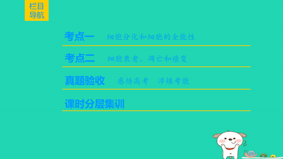 2019版全国高考生物第一轮复习 第4单元 细胞的生命历程 第3讲 细胞的分化、衰老、凋亡和癌变_第2页