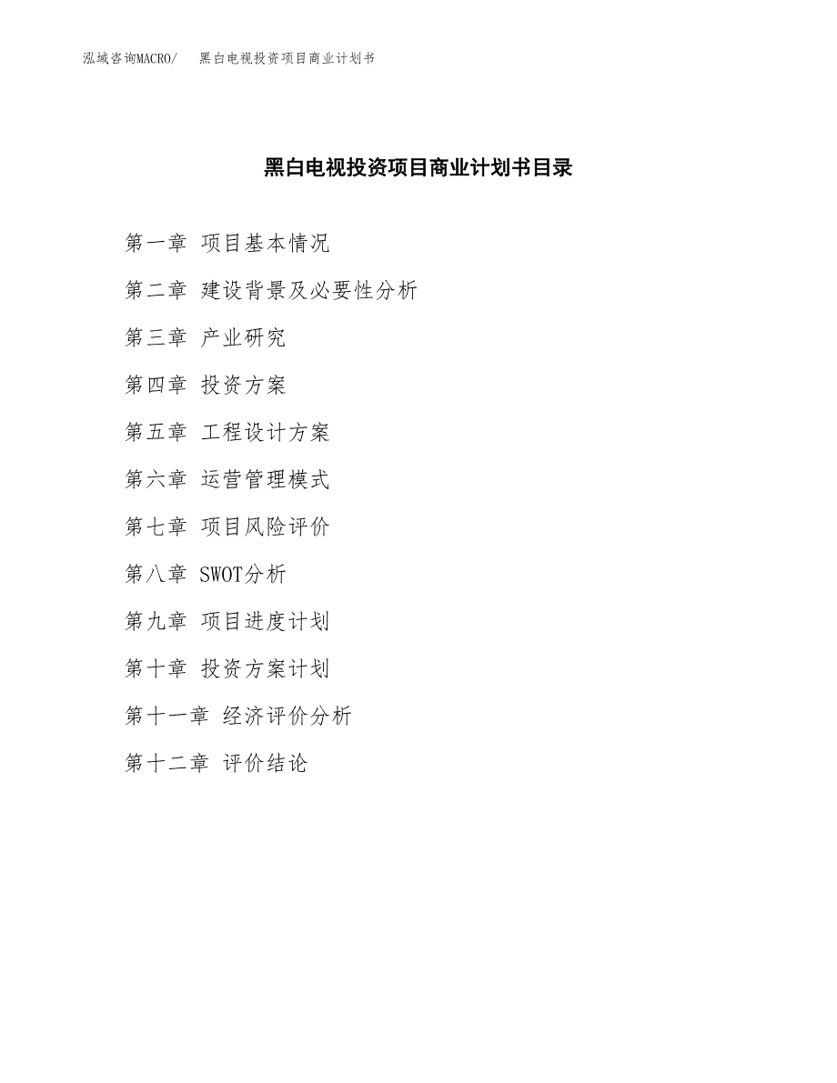 黑白电视投资项目商业计划书.docx_第2页