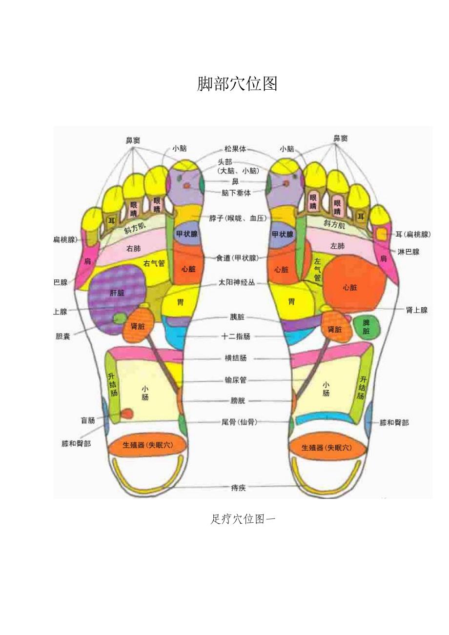 脚部穴位图全面图文_第1页