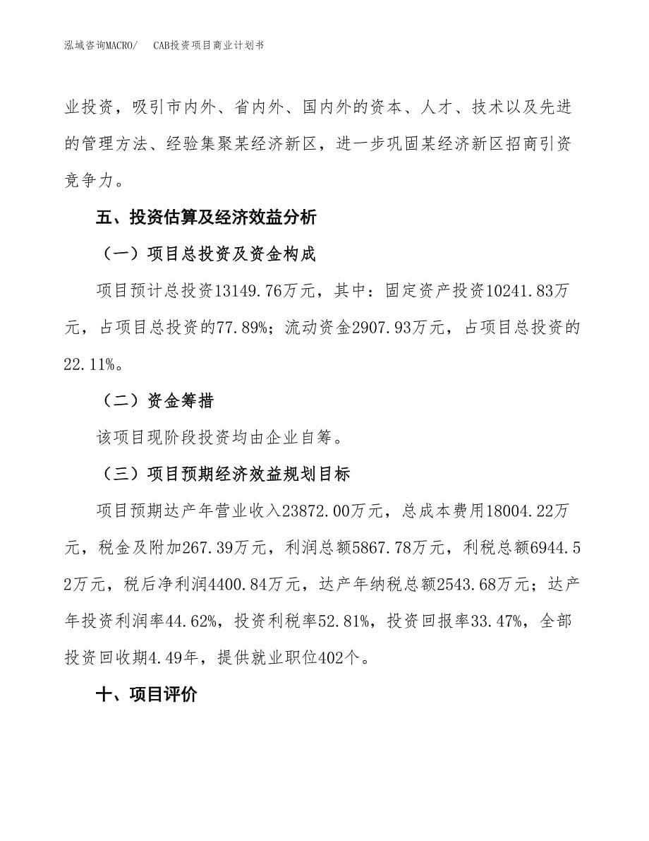 CAB投资项目商业计划书.docx_第5页