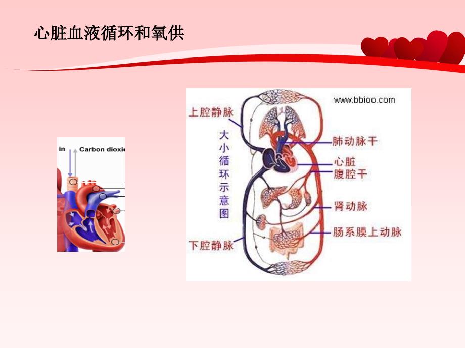 心脏病的预防与治疗_第4页