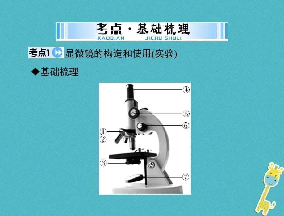 2018年中考生物 考点梳理 第一轮 第一章 第一讲 显微镜和细胞_第5页