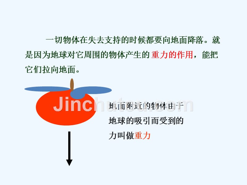 物理人教版初二下册第八章 第三节 重力_第5页