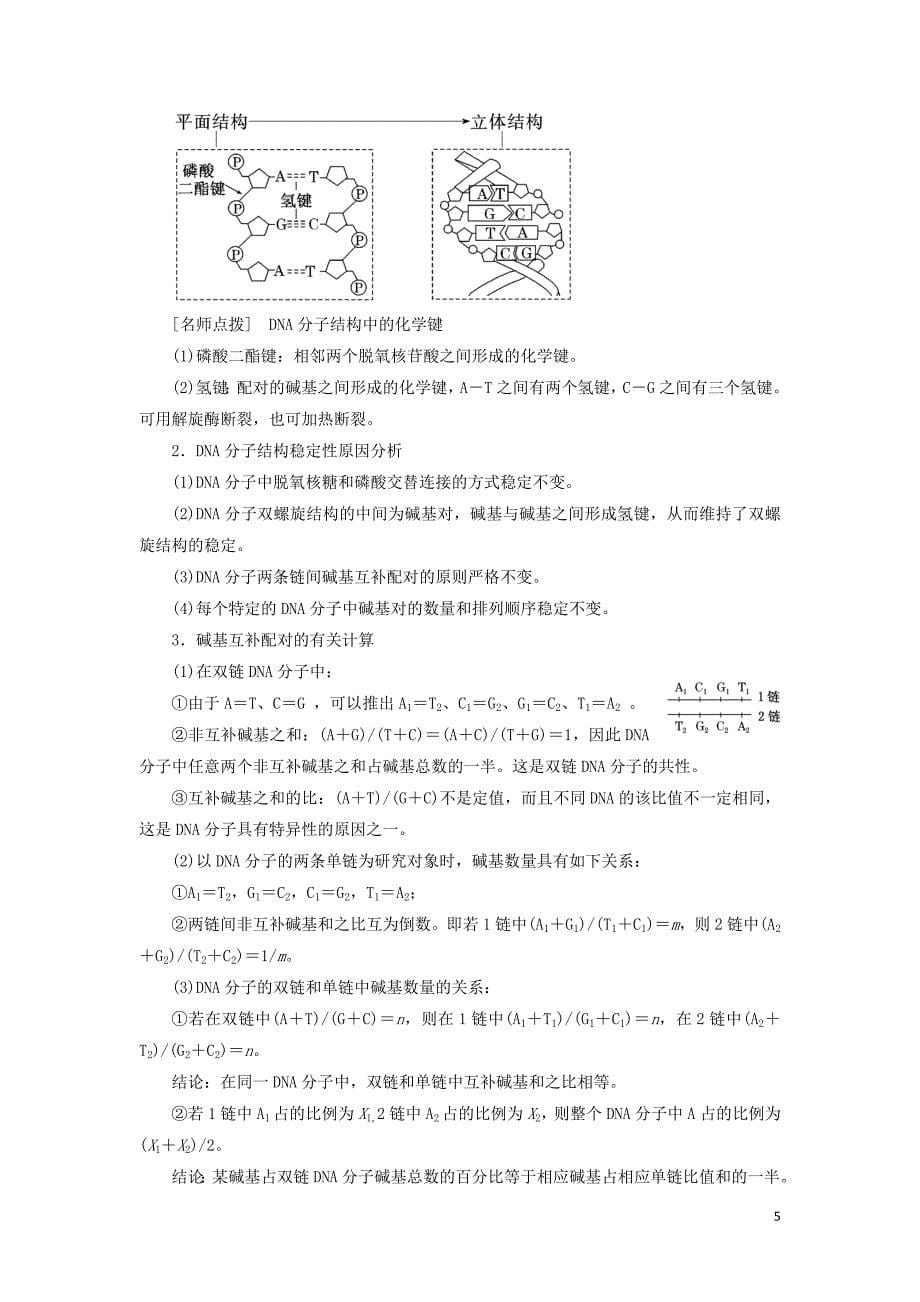 2018版高中生物 第四章 遗传的分子基础 第二节 DNA分子的结构和复制教学案 苏教版必修2_第5页