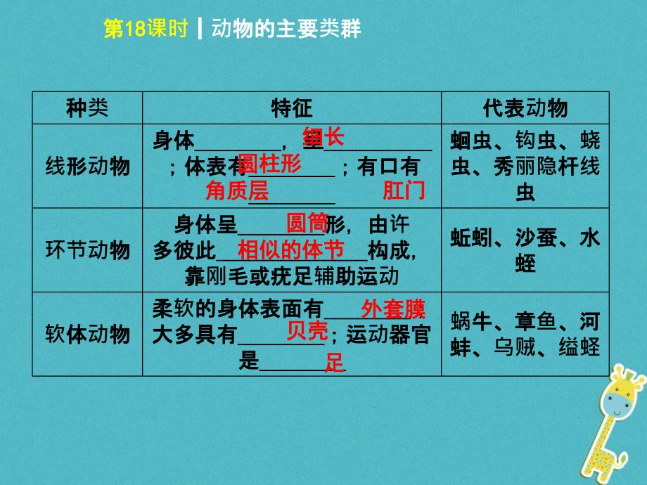 2018年中考生物 第五单元 生物圈中的其他生物 第18课时 动物的主要类群_第3页