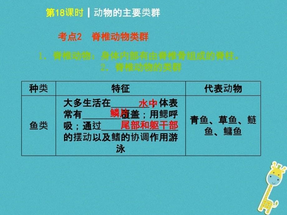 2018年中考生物 第五单元 生物圈中的其他生物 第18课时 动物的主要类群_第5页