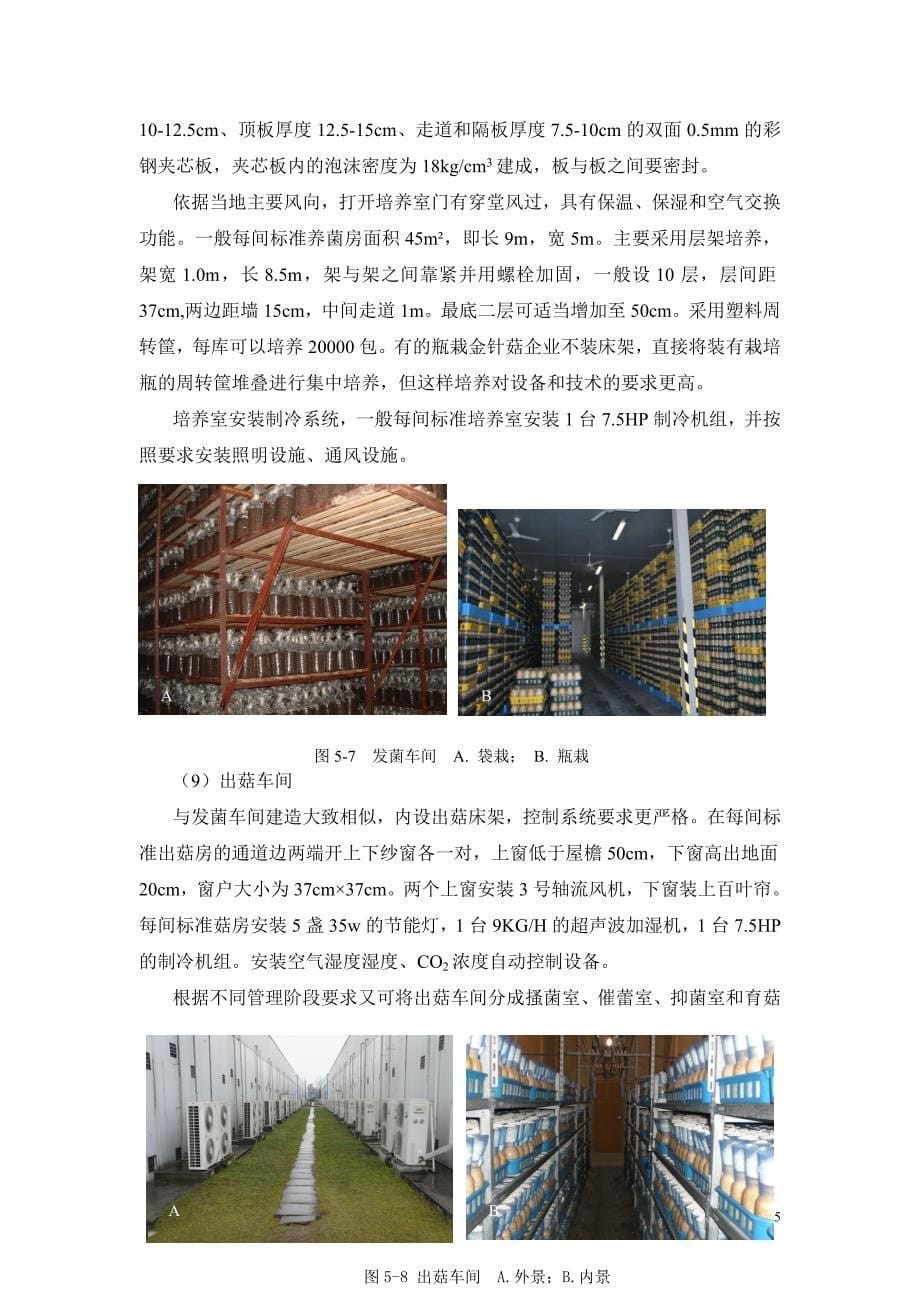 金针菇工厂化周年生产技术_第5页