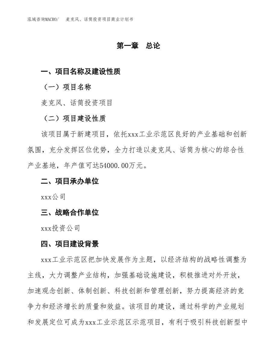 麦克风、话筒投资项目商业计划书.docx_第5页