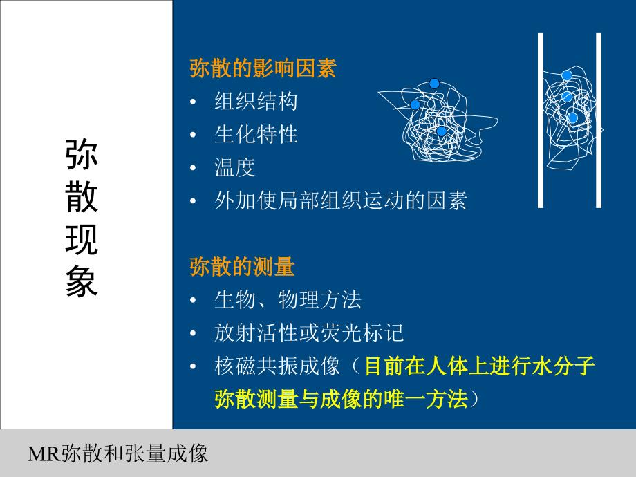 弥散加权成像DWI-原理和临床应用_第3页