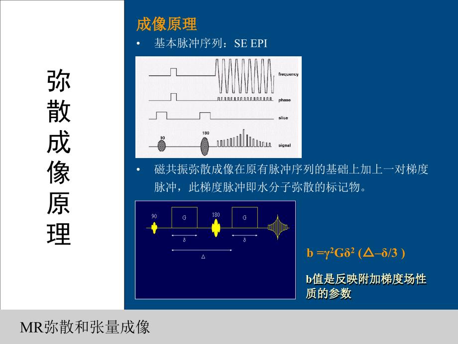 弥散加权成像DWI-原理和临床应用_第4页