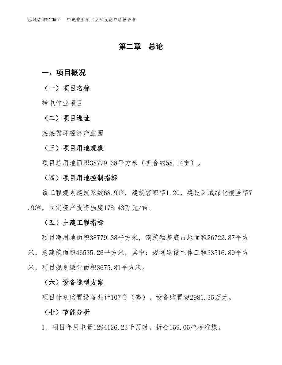 带电作业项目立项投资申请报告书.docx_第5页