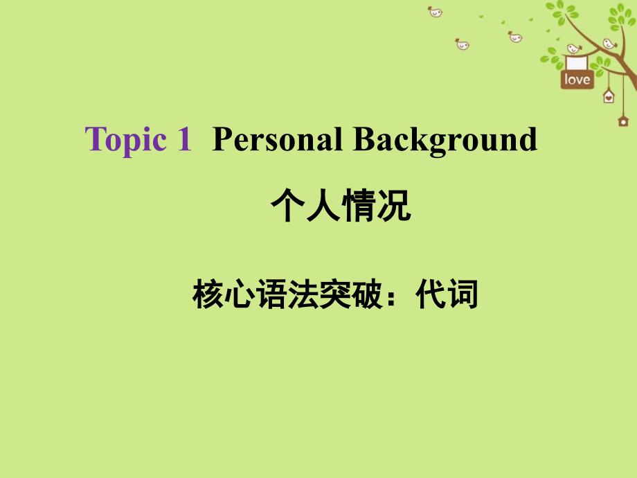 河北2018年中考英语总复习 Topic 1 Personal Background 3 代词_第1页