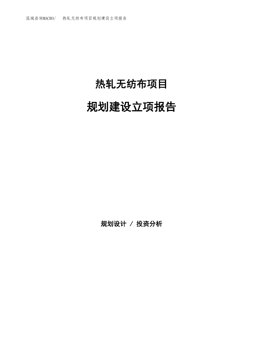 热轧无纺布项目规划建设立项报告_第1页