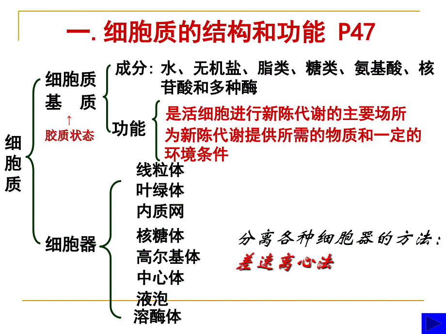 高中生物必修1细胞器公开课.ppt_第4页