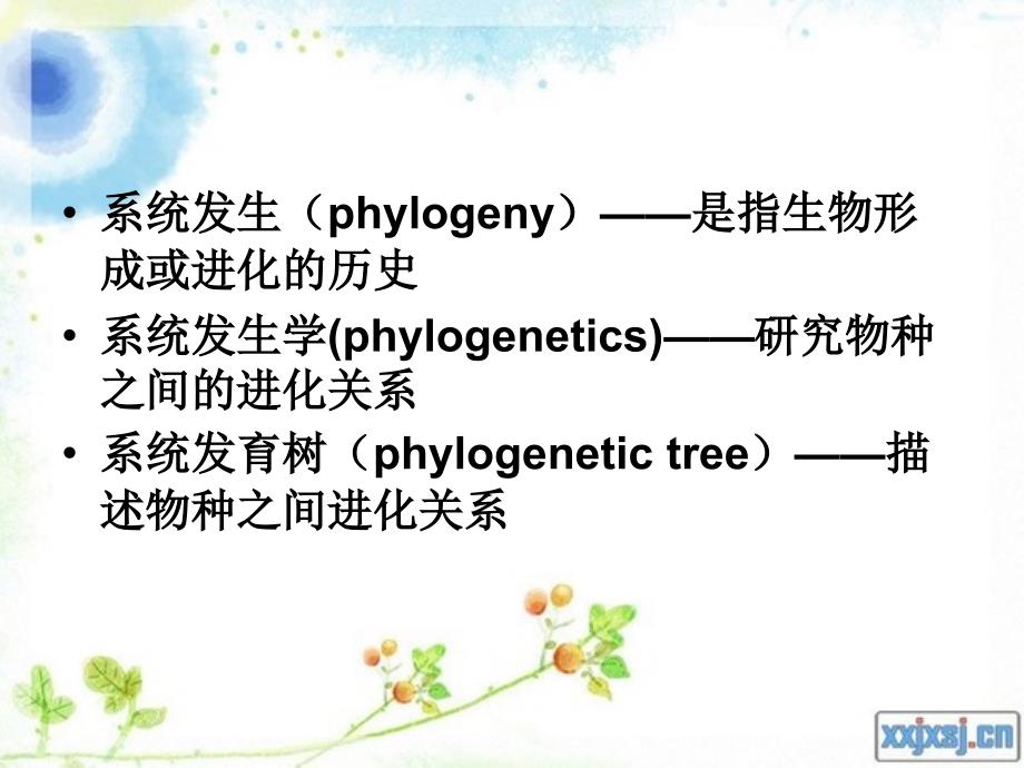 系统发育树构建ppt构建步骤_第3页