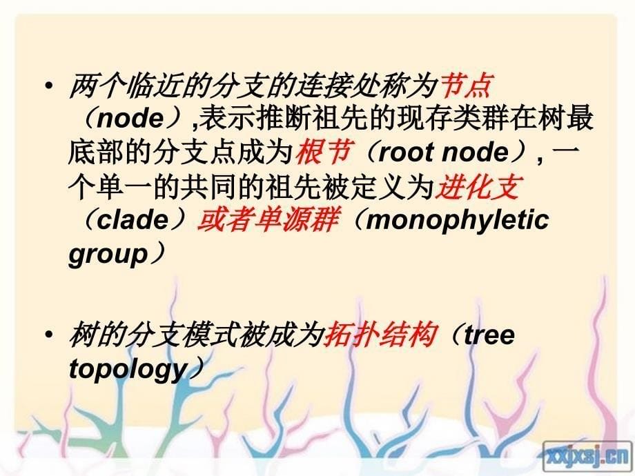 系统发育树构建ppt构建步骤_第5页