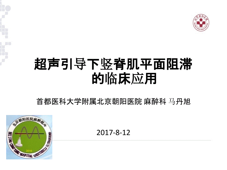 2017超声引导下竖脊肌阻滞在临床应用_马丹旭_第1页