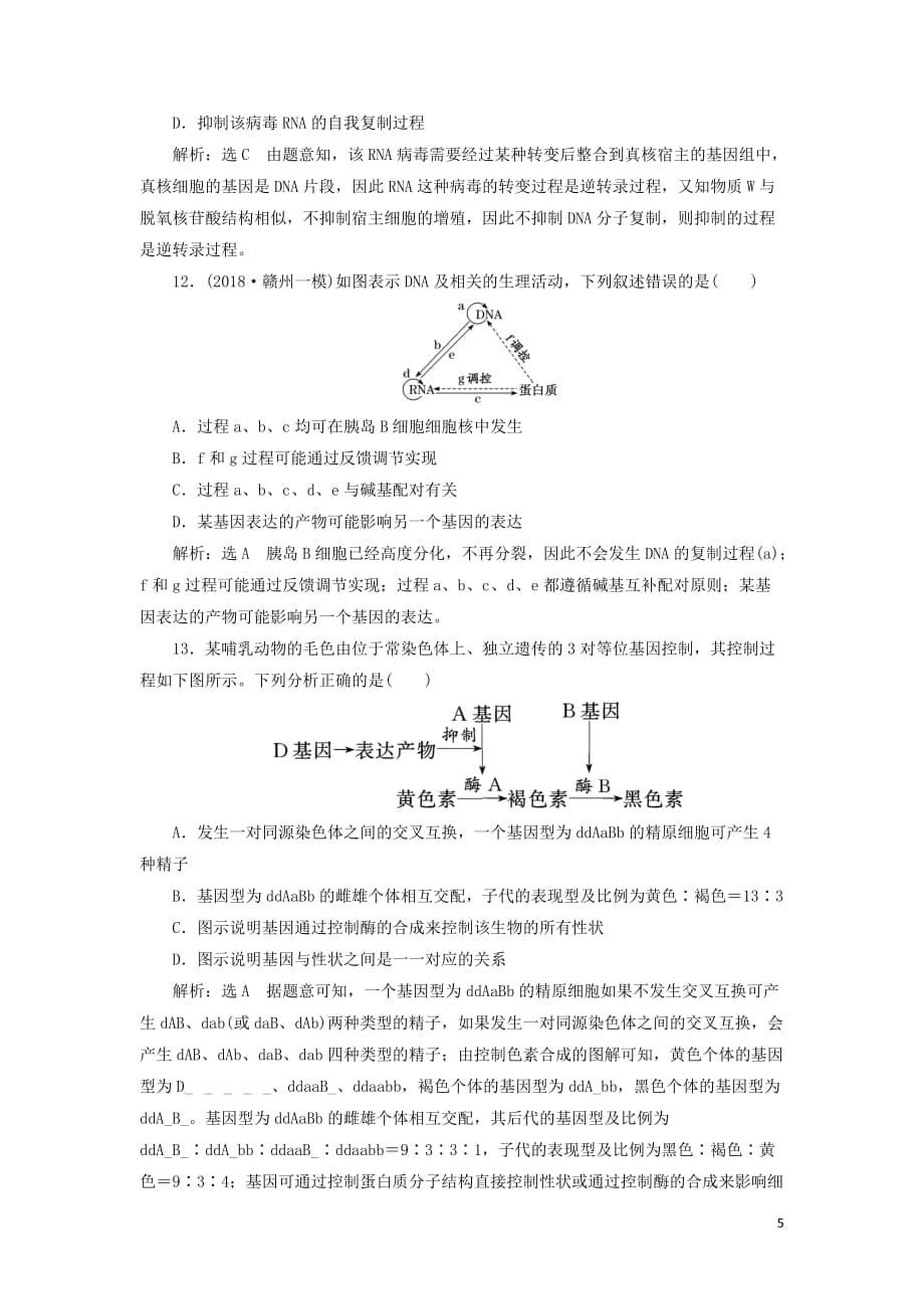 2019年高考生物二轮复习 检测（六）“基因的本质与表达”课前诊断卷_第5页