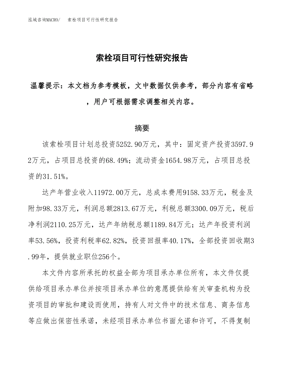 2019索栓项目可行性研究报告参考大纲.docx_第1页