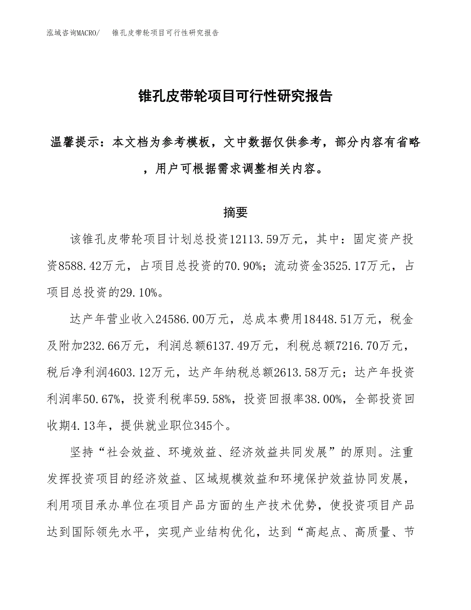 2019锥孔皮带轮项目可行性研究报告参考大纲.docx_第1页