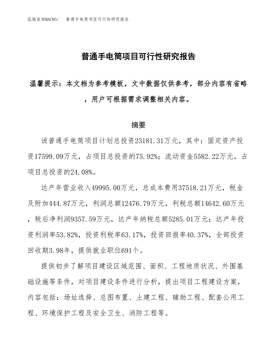 2019普通手电筒项目可行性研究报告参考大纲.docx_第1页